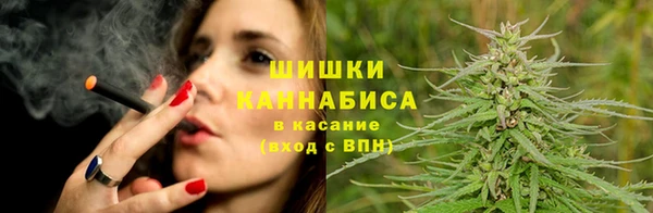 мдпв Козловка