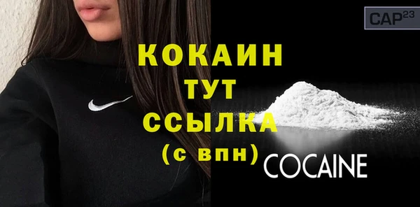 мдпв Козловка
