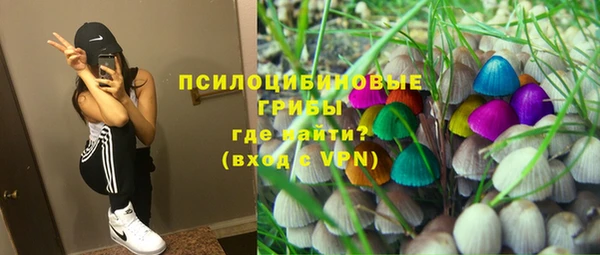 эйфоретик Козельск