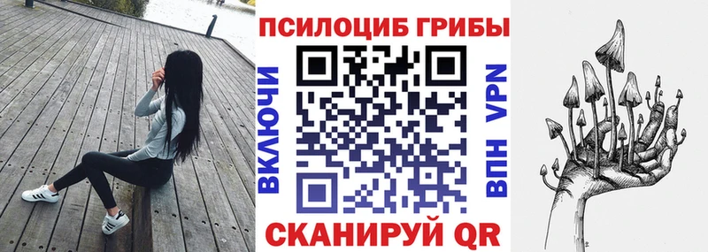 Псилоцибиновые грибы Cubensis  Купить где  Мышкин 